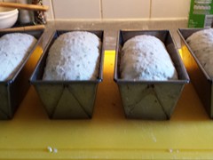 11 Gerezen brood