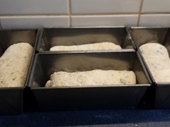 9 Deeg in de blikken